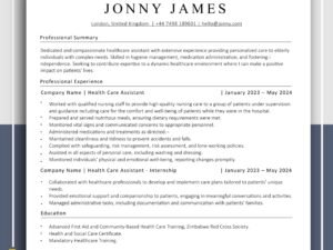 Healthcare Worker CV Template preview